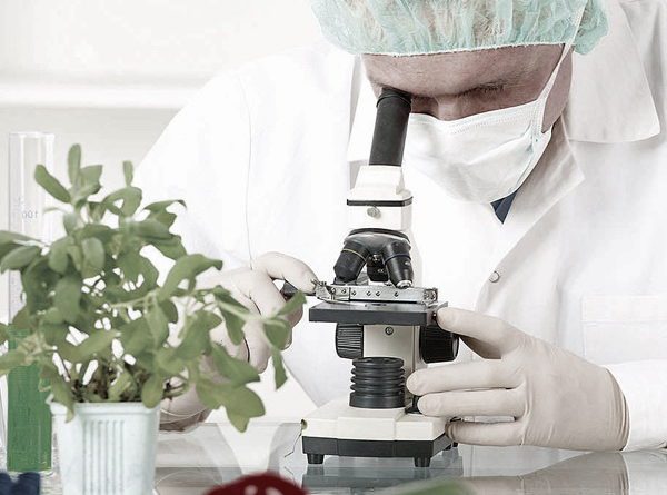 Noninvasive Spine Surgery Miramar FL